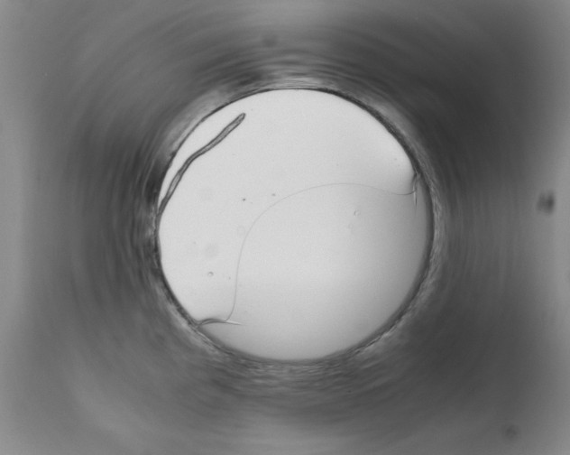 X0000111881193200909031833