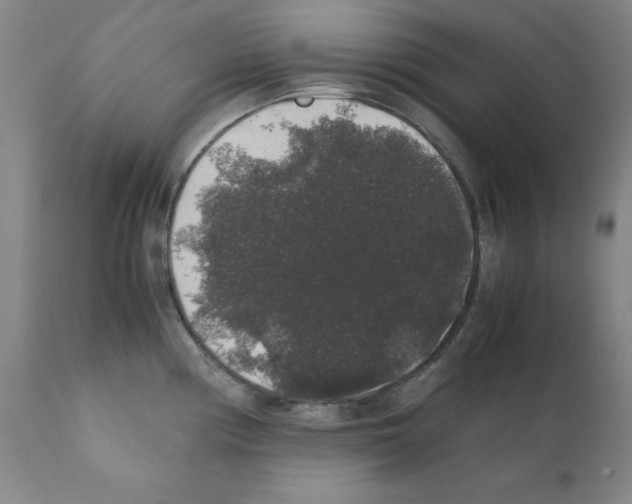 X0000111881194200909031833