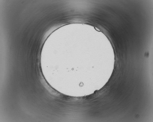 X0000111881195200909031833