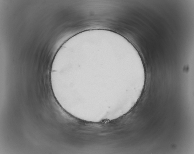 X0000111881197200909031833