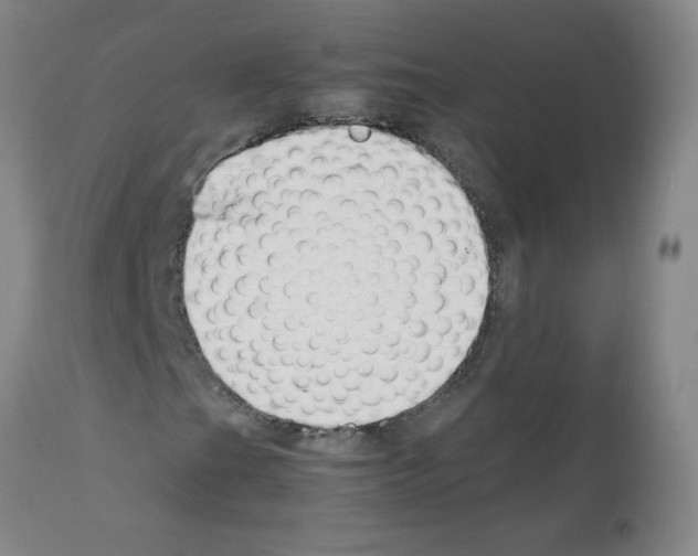X0000111881201200909031832