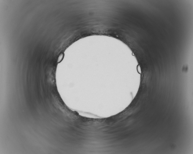 X0000111881202200909031832
