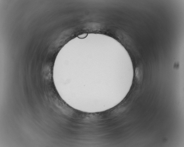 X0000111881203200909031832