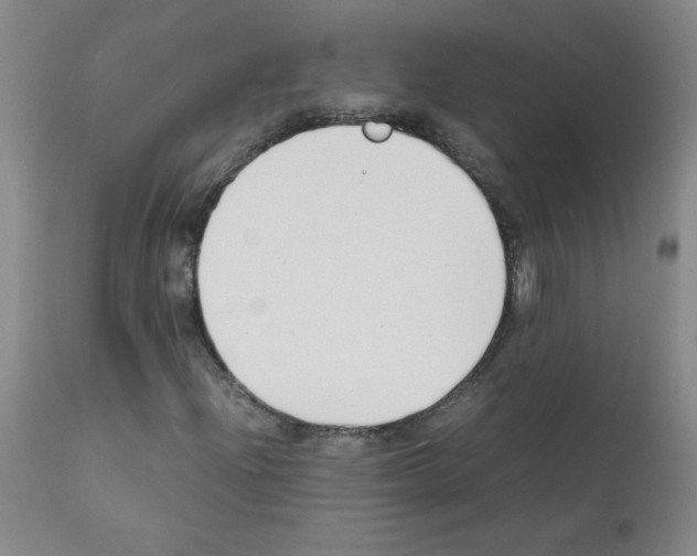 X0000111881204200909031832