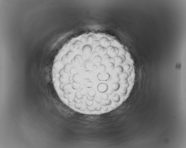 X0000111881205200909031832
