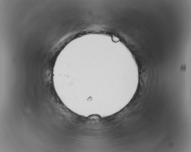 X0000111881206200909031832