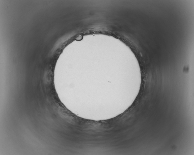 X0000111881207200909031832