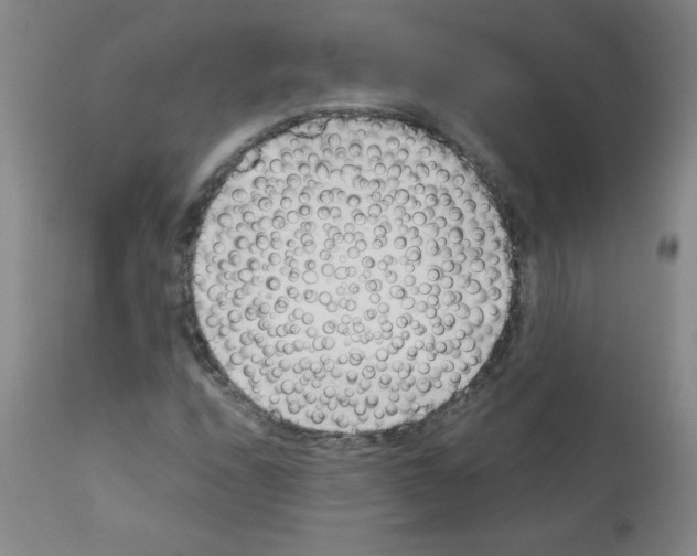 X0000111881208200909031832