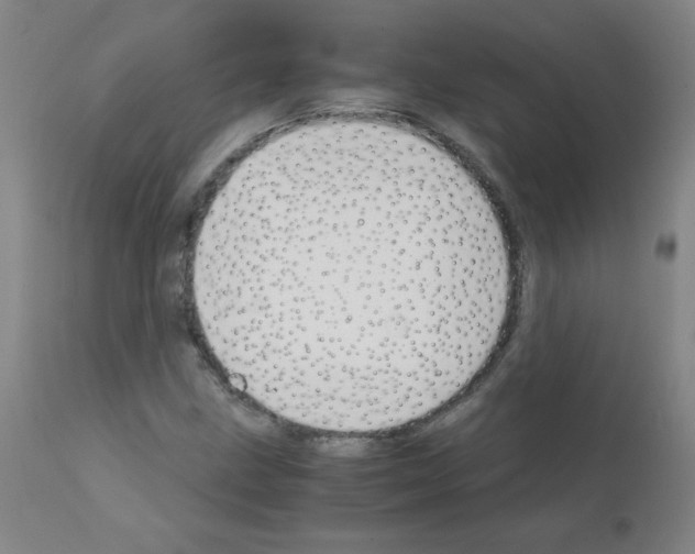X0000111881211200909031832