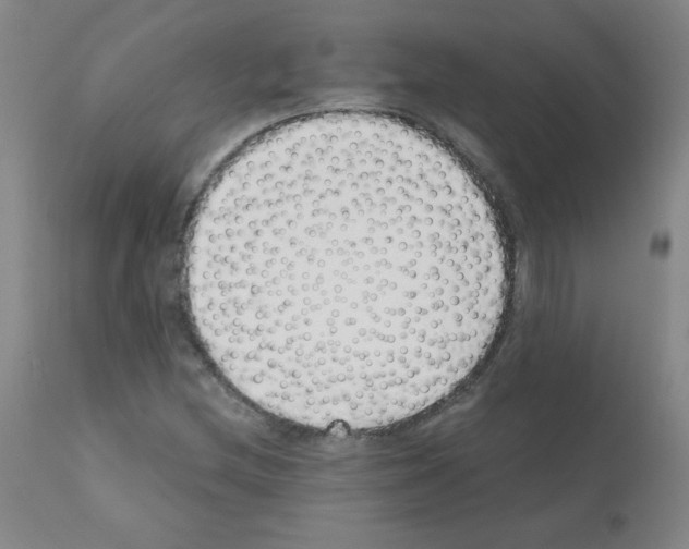 X0000111881212200909031832