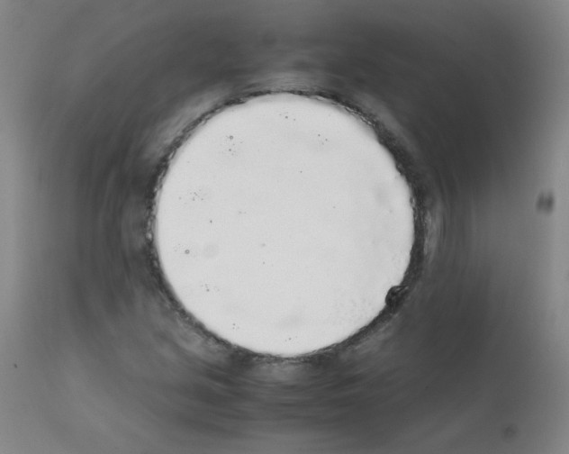 X0000111881213200909031832