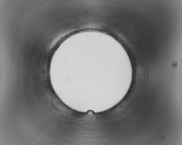 X0000111881214200909031832