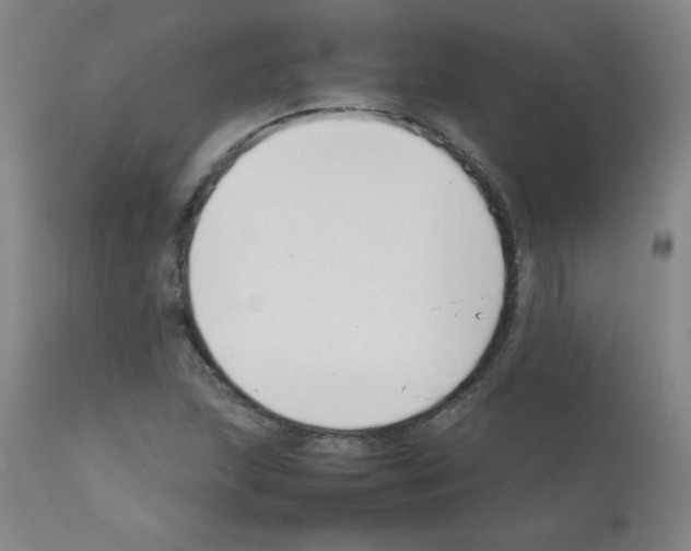 X0000111881215200909031832