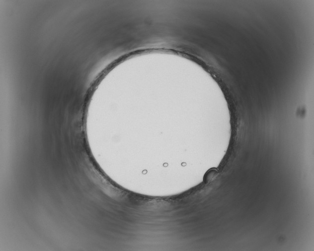 X0000111881216200909031833
