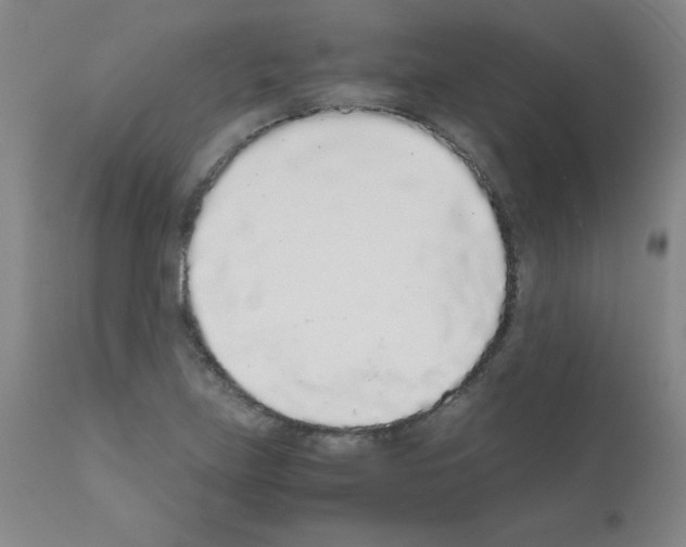 X0000111881219200909031833