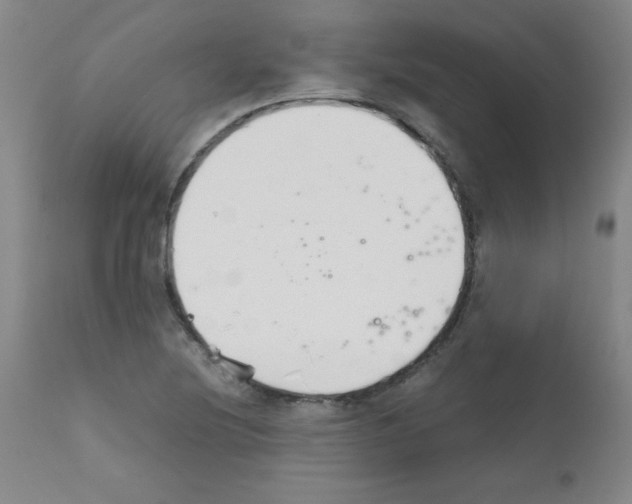 X0000111881220200909031833