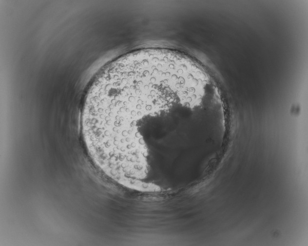 X0000111881221200909031833