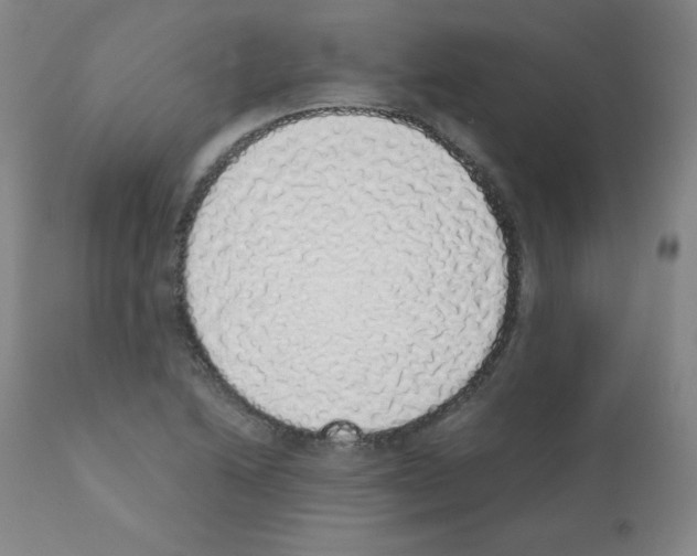 X0000111881222200909031833