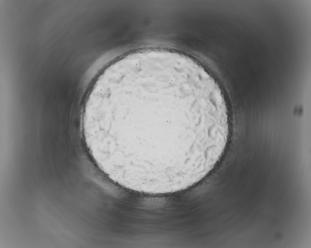 X0000111881223200909031833