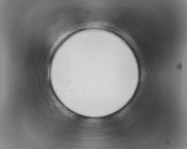 X0000111881224200909031833