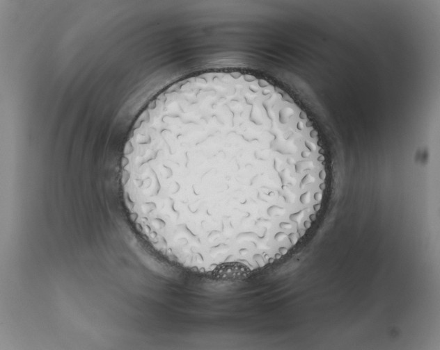 X0000111881225200909031833
