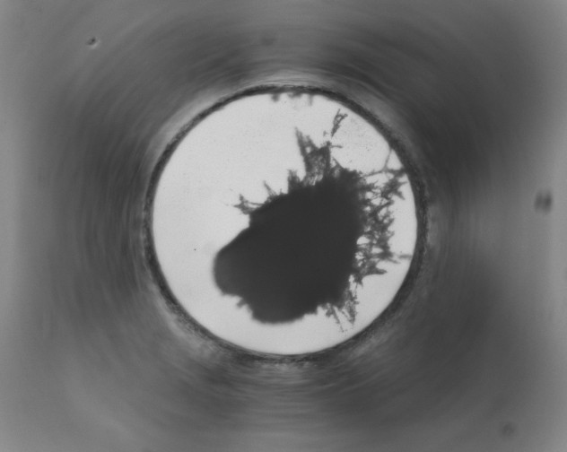 X0000111881229200909031833