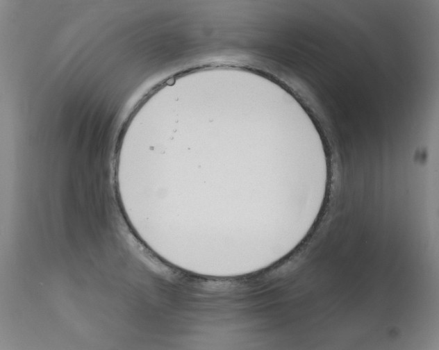 X0000111881232200909031833