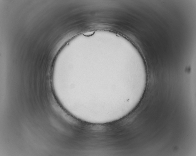 X0000111881235200909031833