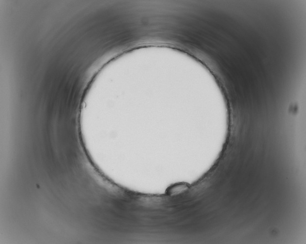 X0000111881237200909031833