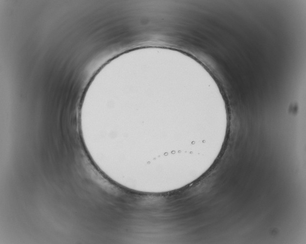 X0000111881238200909031833