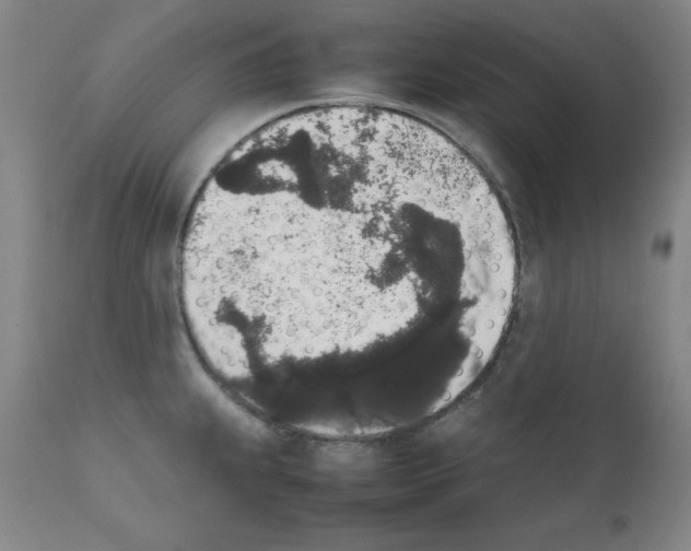 X0000111881239200909031833