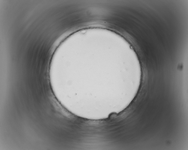 X0000111881240200909031833