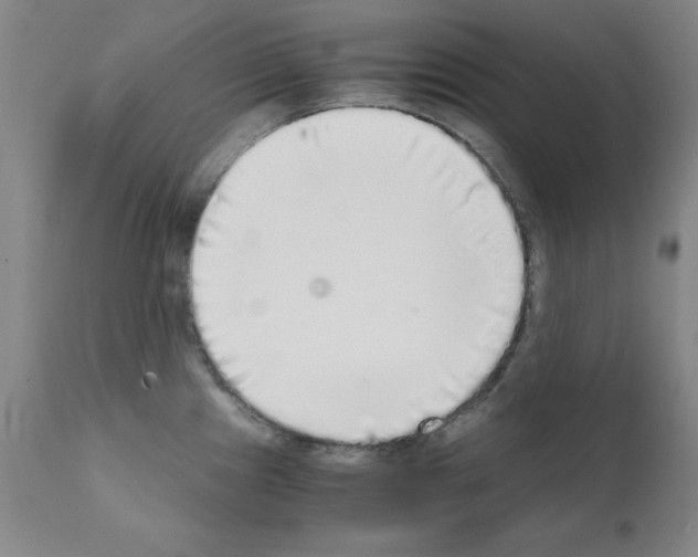 X0000111881241200909031833