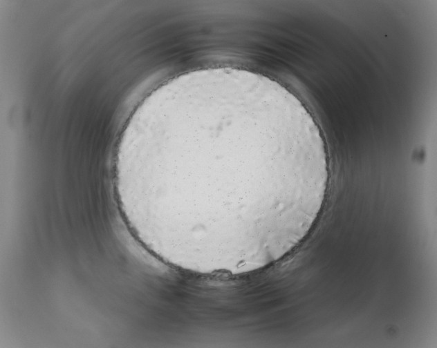 X0000111881243200909031833