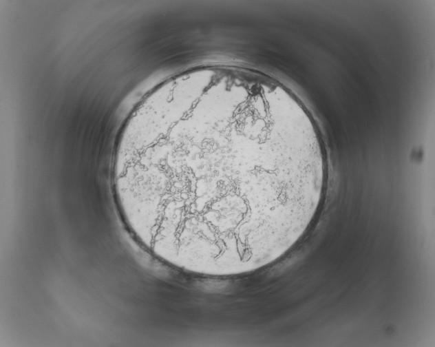X0000111881245200909031833