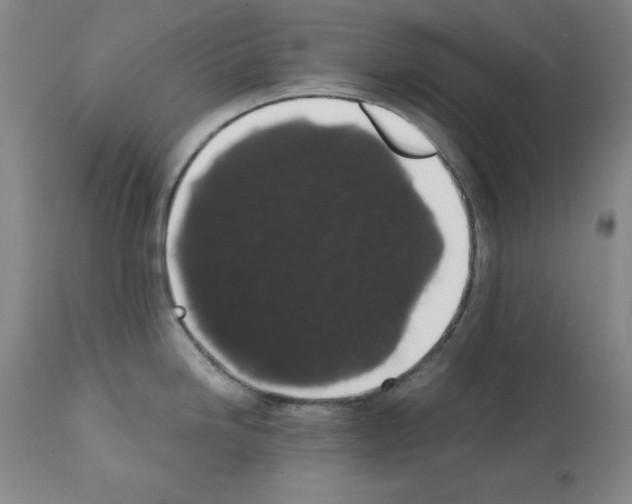 X0000111881246200909031833