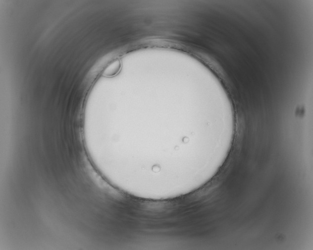 X0000111881247200909031833