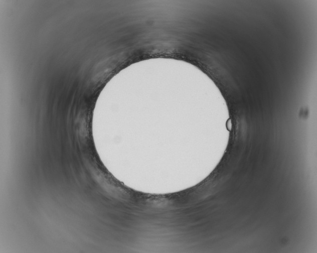 X0000111881250200909031832