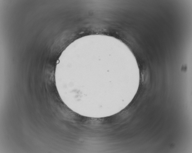 X0000111881251200909031832