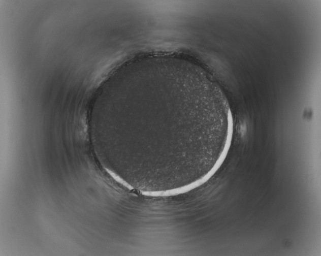 X0000111881252200909031832
