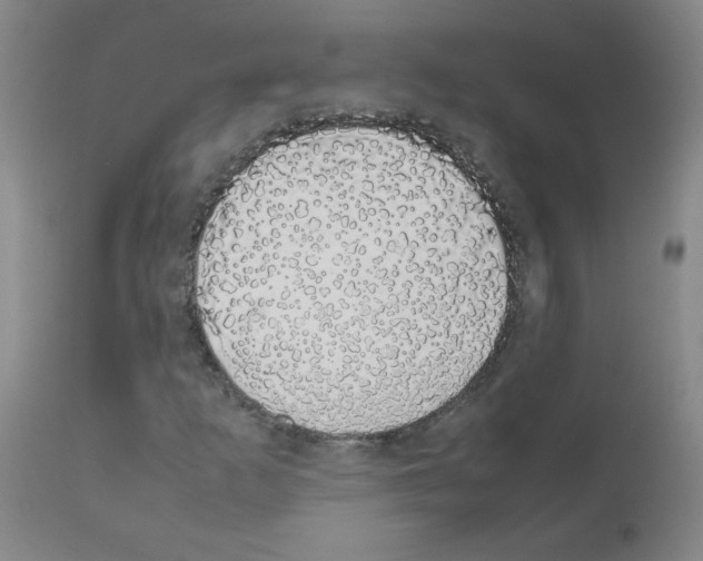 X0000111881253200909031832