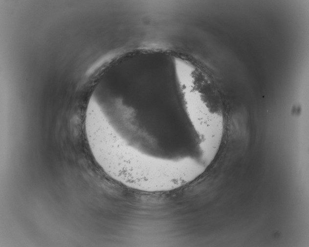 X0000111881254200909031832