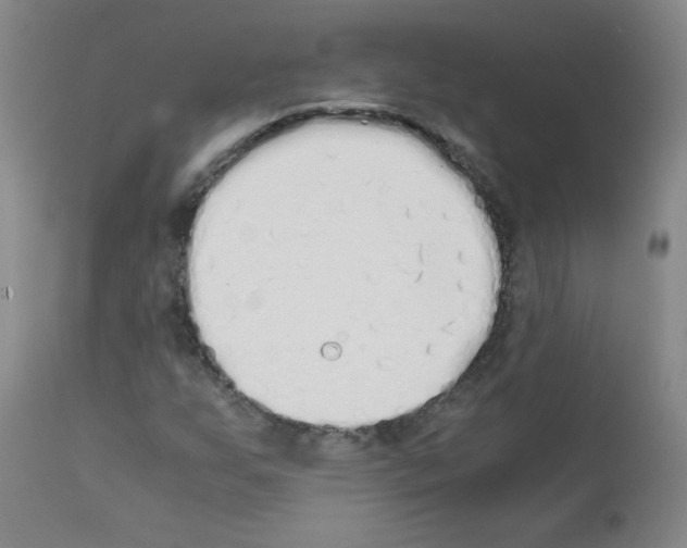 X0000111881255200909031832