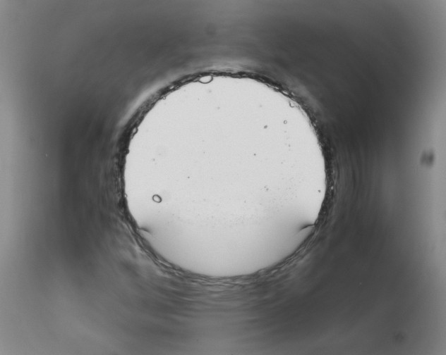 X0000111881256200909031832