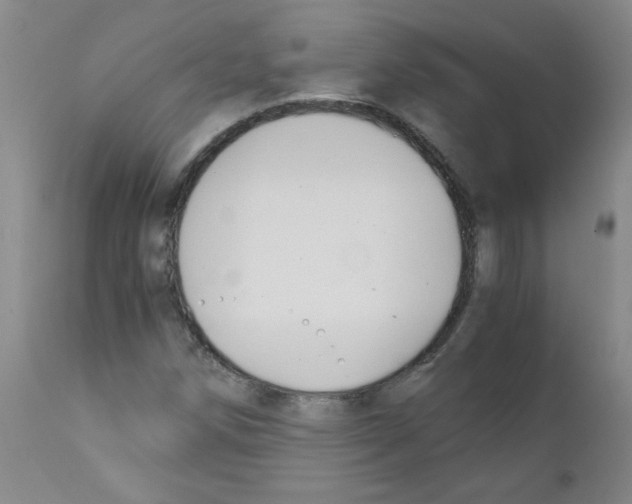 X0000111881258200909031832