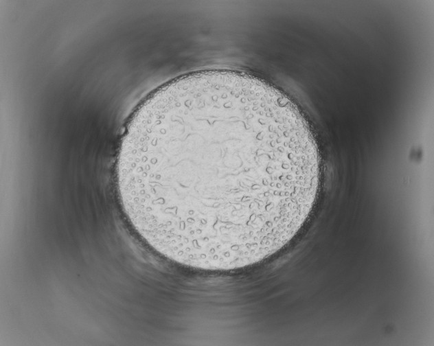 X0000111881260200909031832