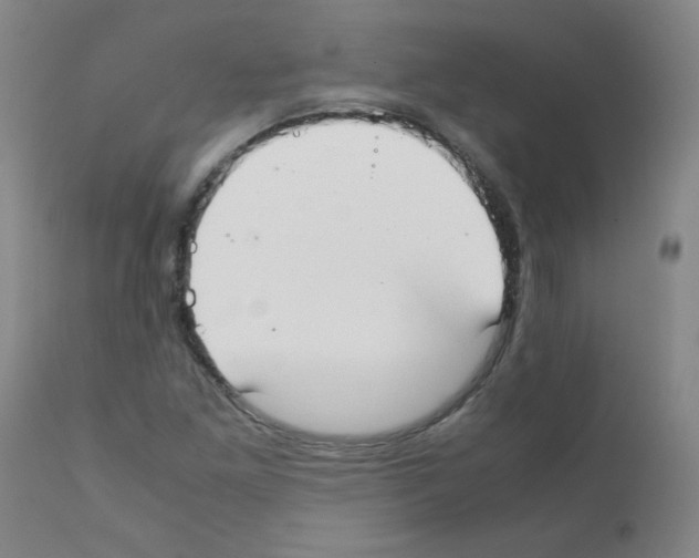 X0000111881261200909031832