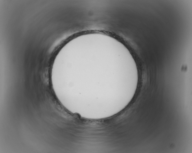 X0000111881262200909031832
