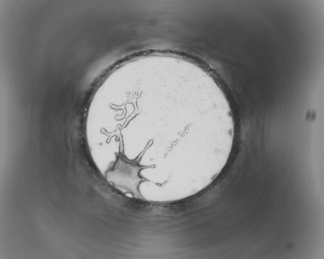 X0000111881263200909031832
