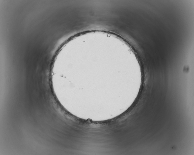 X0000111881264200909031832